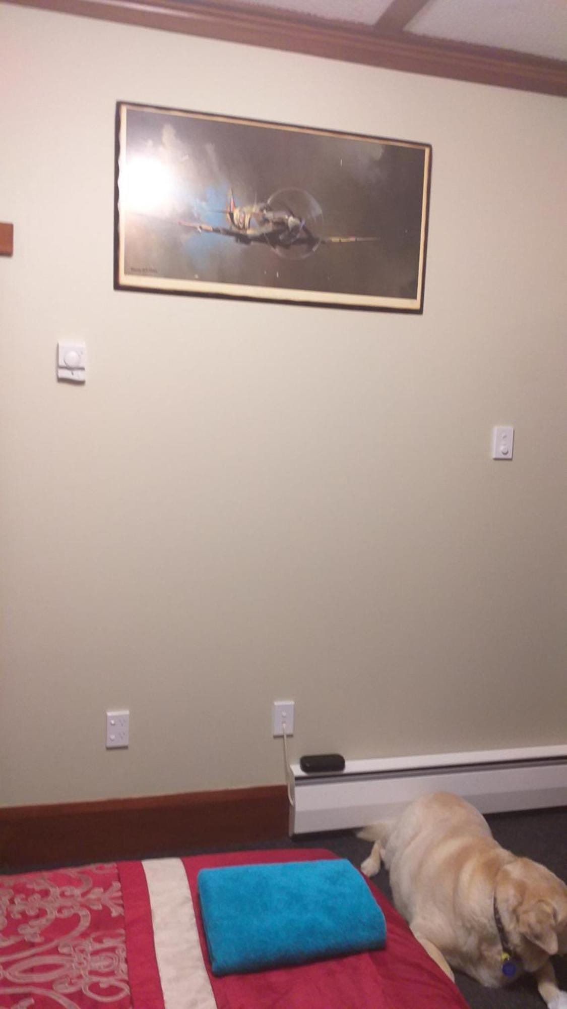 Ruan Thai Bed And Coffee Apartamento Hamilton Quarto foto